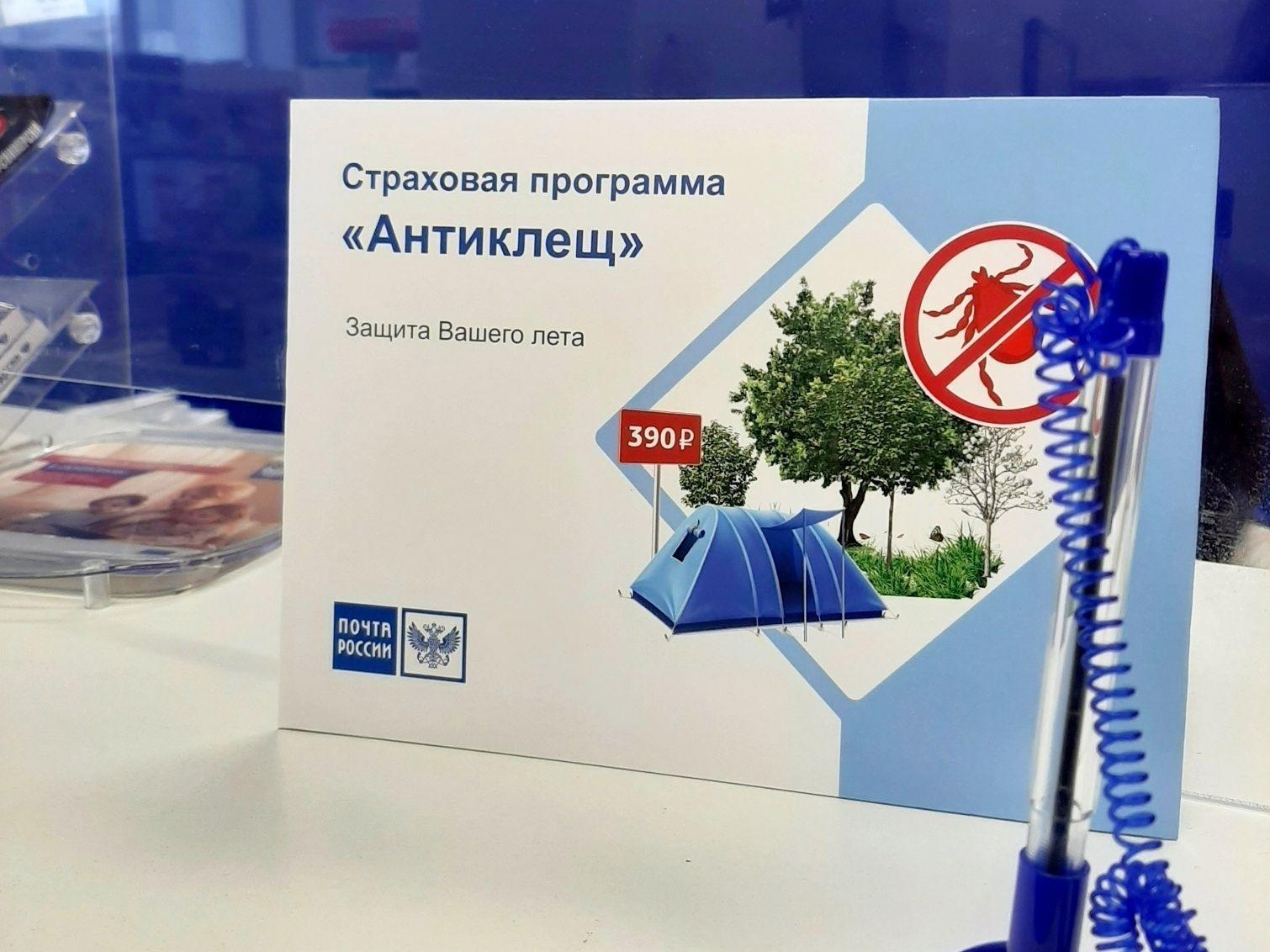 Жители Псковской области могут застраховаться от укусов клещей в почтовых отделениях.